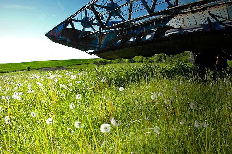 Berufe in der Landwirtschaft Landpartie.de